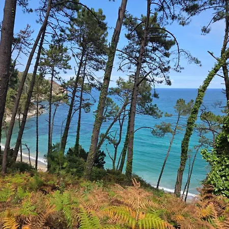 Villa Con Piscina Alicia La Perla Indiana *