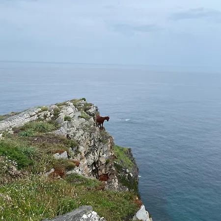 Villa Con Piscina Alicia La Perla Indiana *