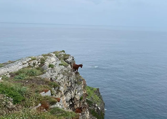 Villa Con Piscina Alicia La Perla Indiana *